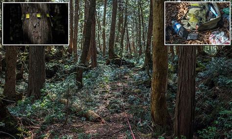 Haunting images from inside Japans suicide forest